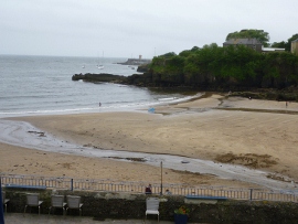 P1040772 (2) (270x203)